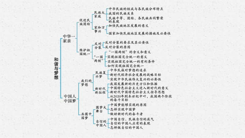 2021安徽中考复习道德与法治(部编版)九上：第四单元　和谐与梦想.pptx_第3页