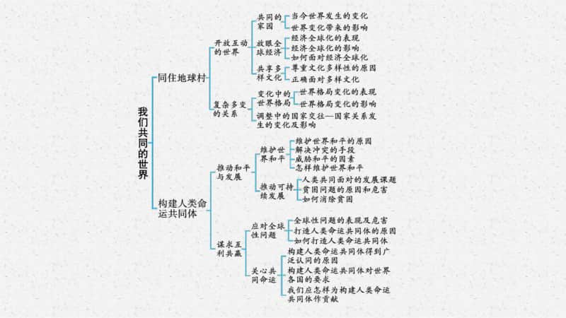 2021安徽中考复习道德与法治(部编版)九下：第一单元　我们共同的世界.pptx_第3页