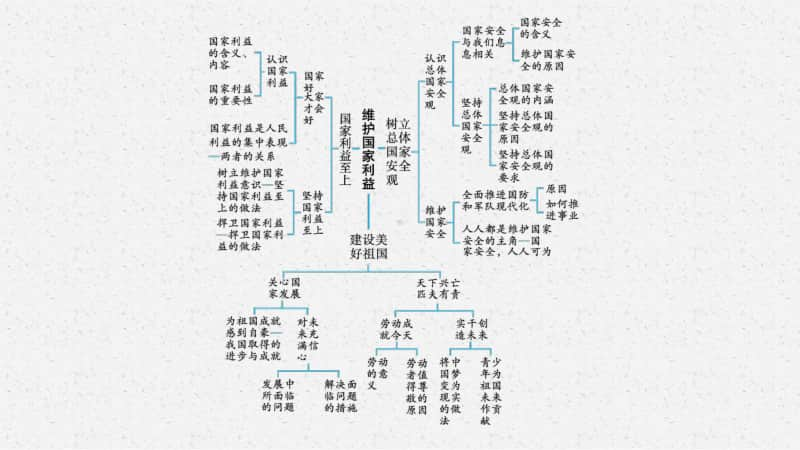 2021甘肃中考复习道德与法治(部编版)八上：第四单元　维护国家利益.pptx_第3页