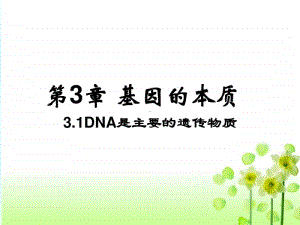 新人教版生物必修2（新教材）课件：3-1DNA是主要的遗传物质.ppt