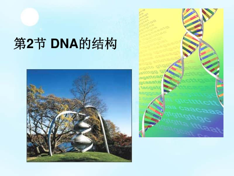 新人教版生物必修2（新教材）课件：3-2DNA的结构.ppt_第1页