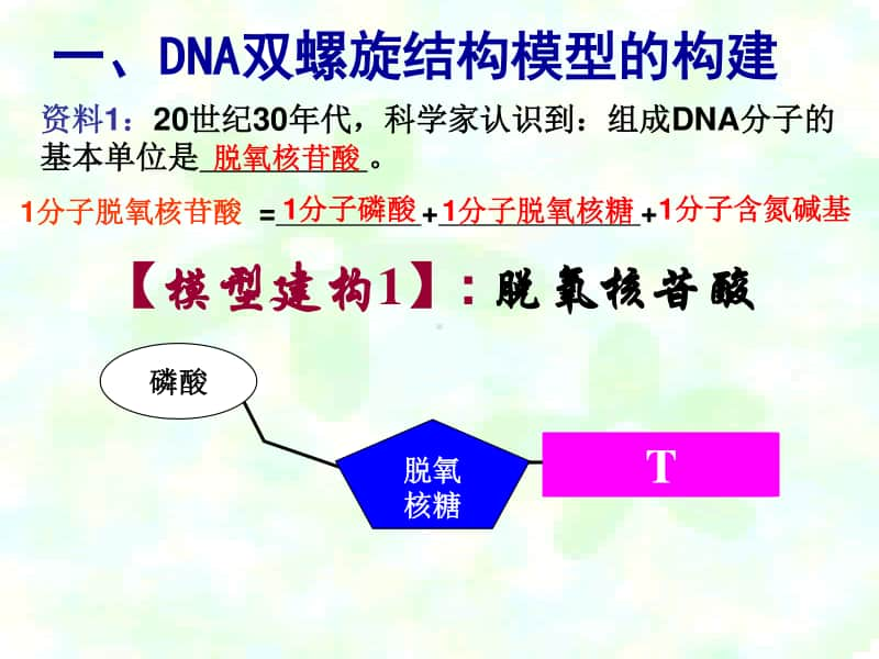 新人教版生物必修2（新教材）课件：3-2DNA的结构.ppt_第2页