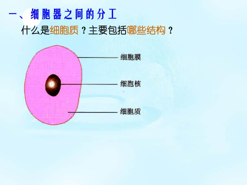 新人教版生物必修1（新教材）课件：3-2细胞器之间分工合作.ppt_第2页