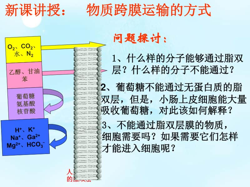 新人教版生物必修1（新教材）课件：4-3物质跨膜运输的方式.ppt_第3页