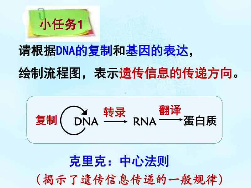 新人教版生物必修2（新教材）课件：4-2基因表达与性状的关系.ppt_第2页