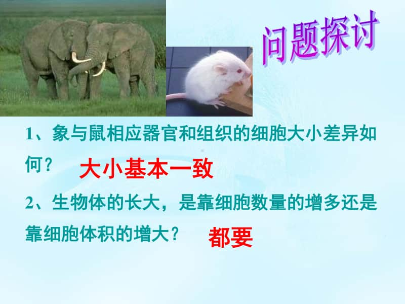 新人教版生物必修1（新教材）课件：6-1 细胞的增殖.ppt_第2页