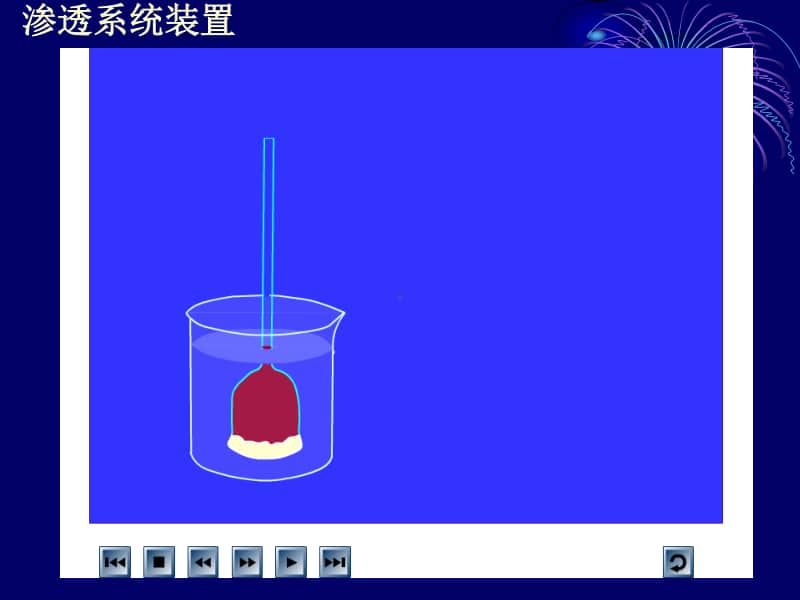 新人教版生物必修1（新教材）课件：4-1物质跨膜运输的实例.ppt_第2页