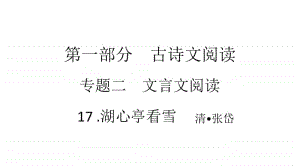 2021年中考（云南）语文复习文言文阅读： 17.湖心亭看雪.ppt