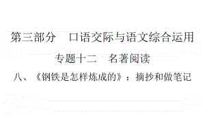 2021年中考（云南）语文复习名著阅读：专题12　8、《钢铁是怎样炼成的》：摘抄和做笔记.ppt