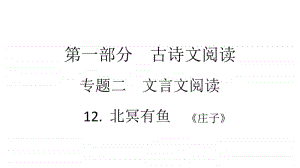 2021年中考（云南）语文复习文言文阅读： 12.北冥有鱼.ppt