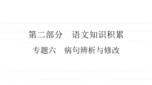 2021年中考（云南）语文复习：专题6　病句辨析与修改.ppt