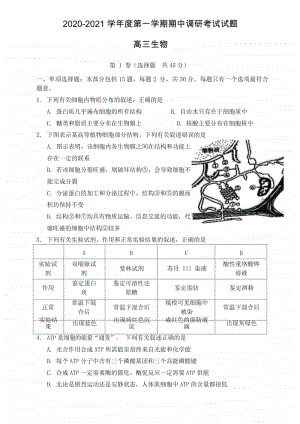 （生物）江苏省盐城市2021届高三上学期生物期中试卷.doc