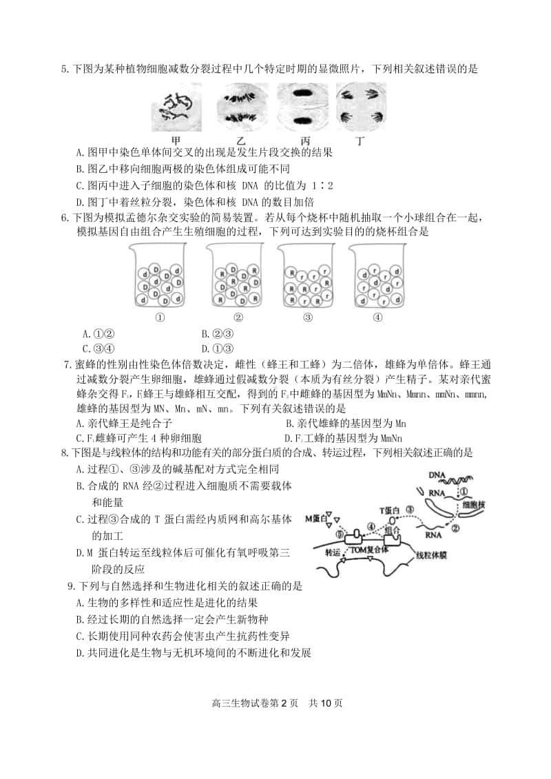 （生物）江苏省镇江市七校2021届高三上学期11月期中教学质量检测生物.doc_第2页