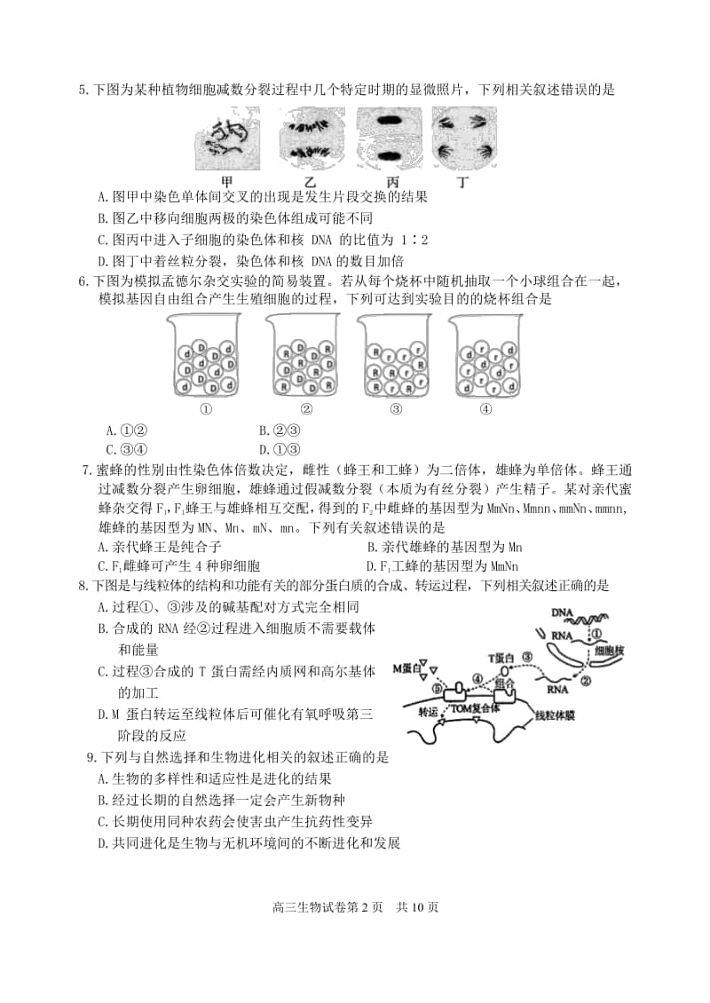 （生物）江苏省镇江市七校2021届高三上学期11月期中教学质量检测生物.pdf_第2页