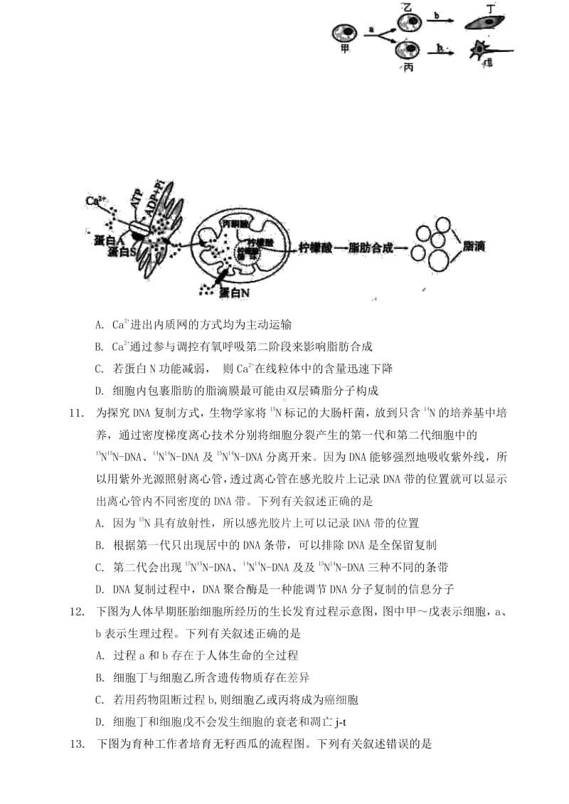 （生物）江苏省盐城市2021届高三上学期生物期中试卷.pdf_第3页