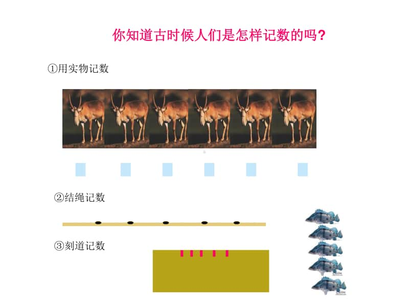 部编版小学数学《数的产生》.ppt_第3页