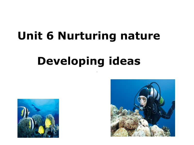 （2020新版）外研新教材选择性必修一unit6developing ideas(ppt共20页PPT).pptx_第1页