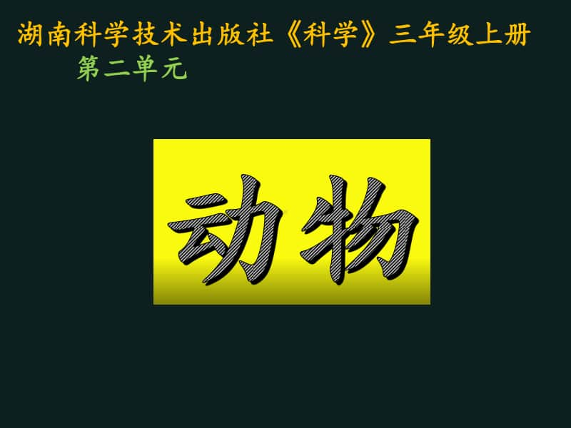 202020新湘教版三年级上册科学第2单元各种各样的动物ppt课件.ppt_第1页