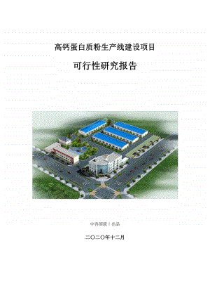 高钙蛋白质粉生产建设项目可行性研究报告.doc