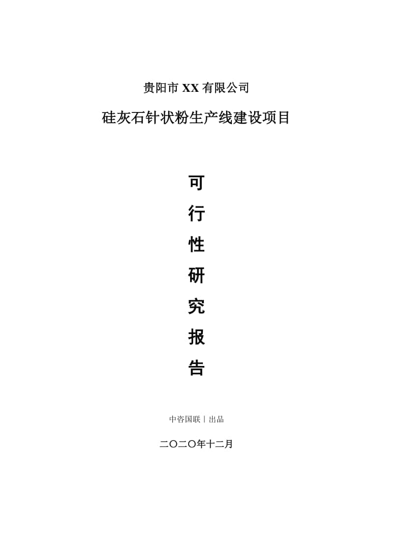 硅灰石针状粉生产建设项目可行性研究报告.doc_第1页