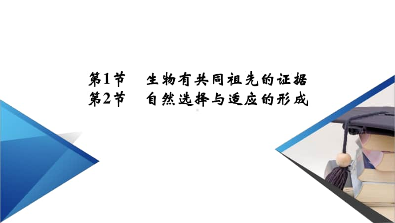 2021年高中生物人教版（新教材）必修2课件：第6章 第1、2节 生物有共同祖先的证据　自然选择与适应的形成.pptx_第2页
