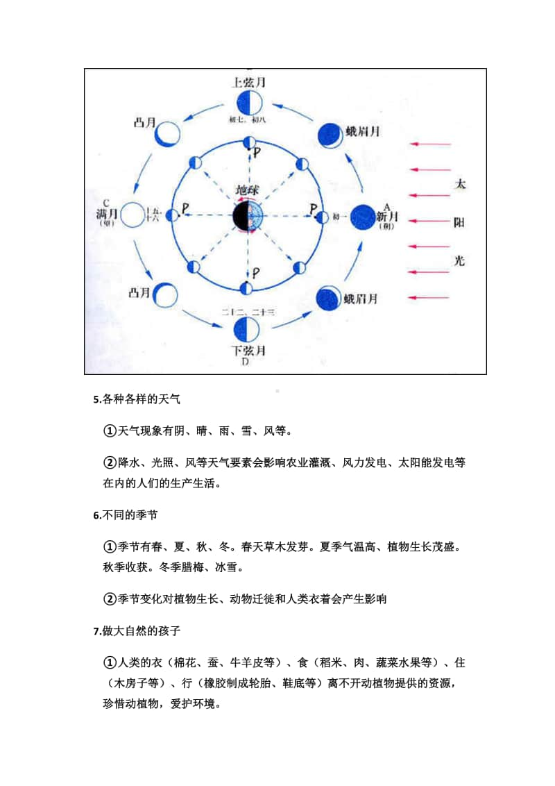 二年级科学上册.docx_第2页