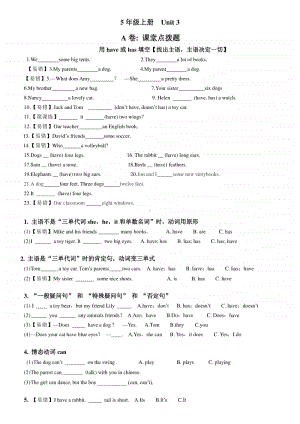 牛津译林版五年级上册英语5A-U3考点精练（无答案）.docx