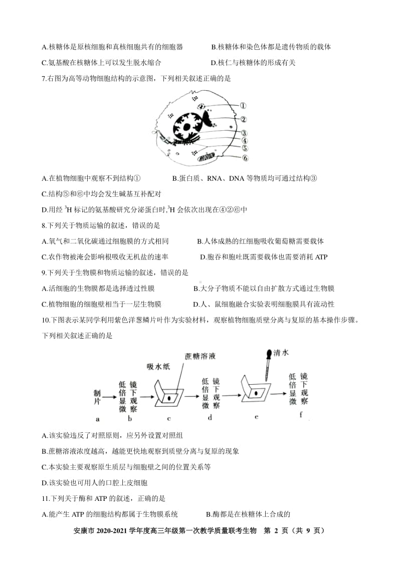 安康市2021届高三第一次联考试题生物.doc_第2页