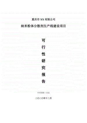 纳米粉体分散剂生产建设项目可行性研究报告.doc