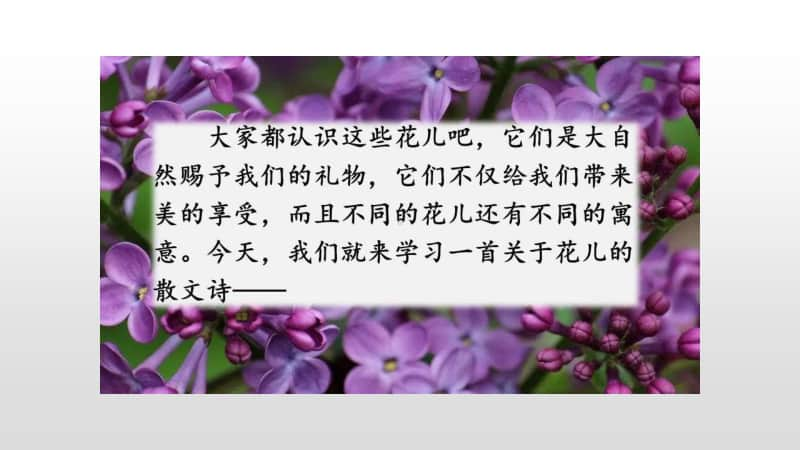 部编版六上语文4花之歌-PPT.pptx_第1页