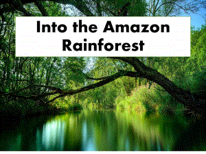 新牛津译林版六年级上册《英语》Into the Amazon Rainforest ppt课件（含教案+音频mp3视频素材）.pptx