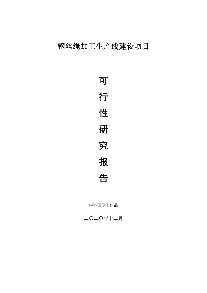 钢丝绳加工生产建设项目可行性研究报告.doc_第1页