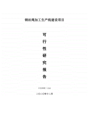 钢丝绳加工生产建设项目可行性研究报告.doc