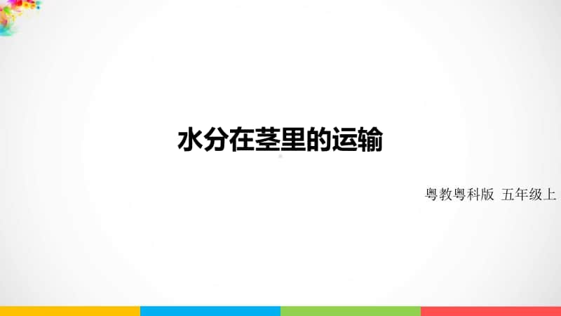 2020新粤教版五年级上册科学《水在茎里运输》ppt课件（含教案+练习）.pptx_第1页