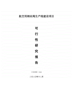 航空用钢丝绳生产建设项目可行性研究报告.doc