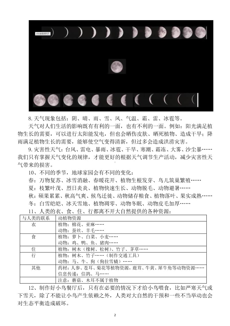 小学科学教科版二年级上册期末复习知识点整理.docx_第2页