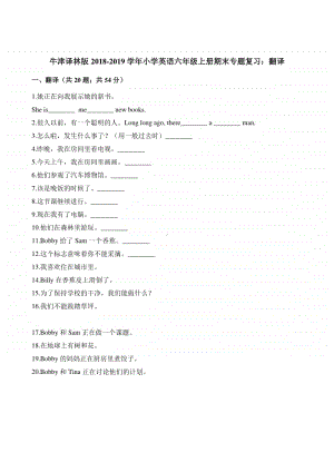 新牛津译林版六年级上册《英语》试题-期末专题复习：翻译（含答案）.docx