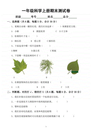 小学科学教科版一年级上册期末测试卷6.docx