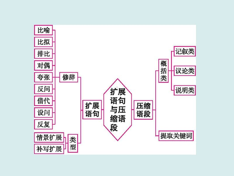 2021年高考语文三轮复习专题　扩展语句,压缩语段.ppt_第2页