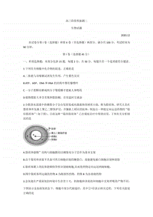 江苏省常熟市2021届高三上学期阶段性抽测二生物试题 Word版含答案.docx