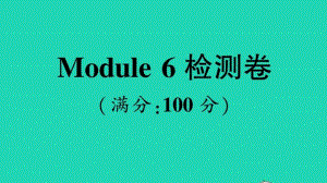 （精）外研版（三起）六年级上册英语Module 6 检测卷ppt课件（含音频）.ppt