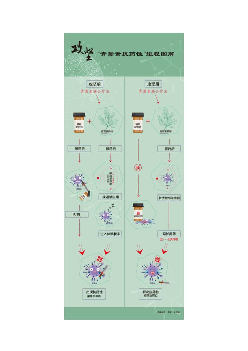 人物素材：屠呦呦-心怀救人之志真正的中华之光.doc_第2页