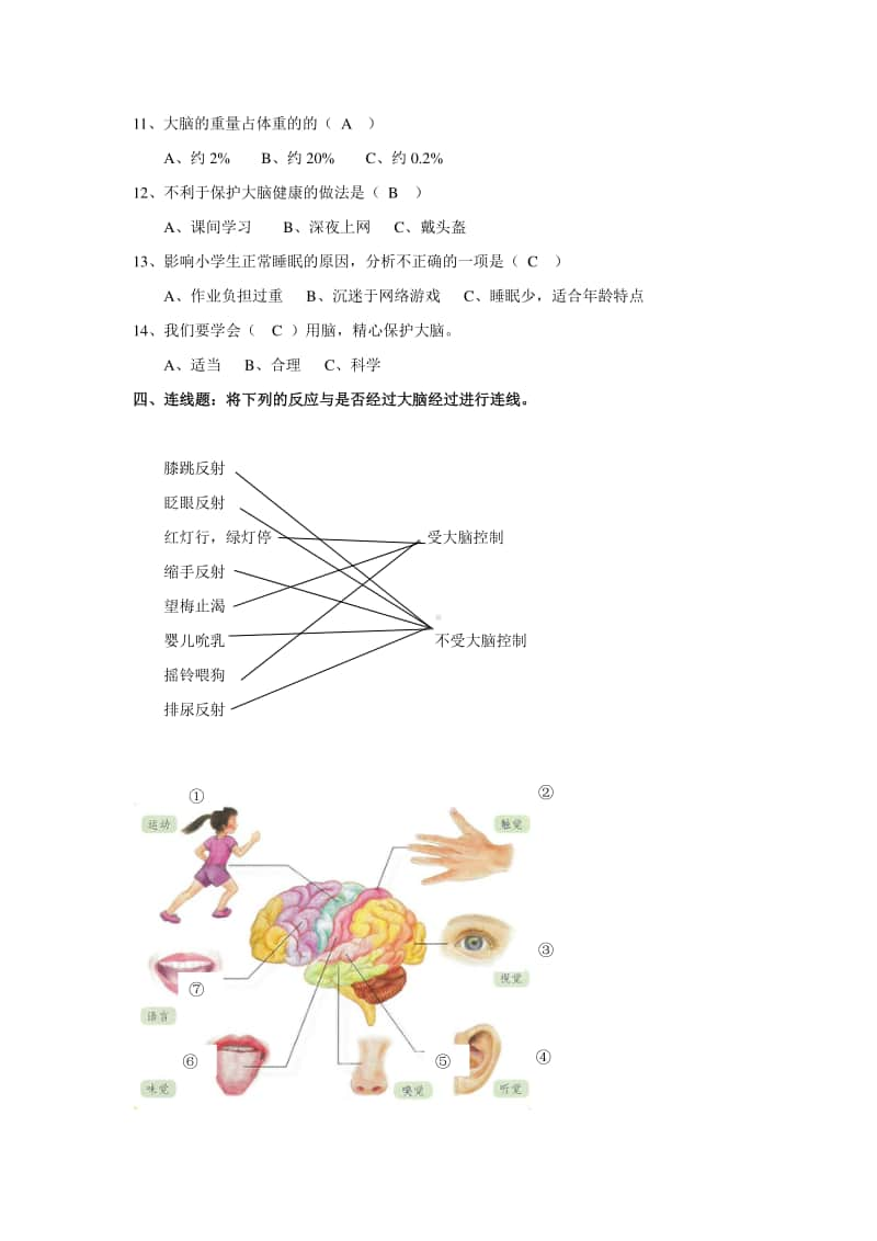 2020新粤教版六年级上册科学第三单元复习资料.docx_第3页