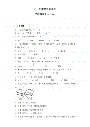 小升初数学知识专项训练-总复习（5）.doc