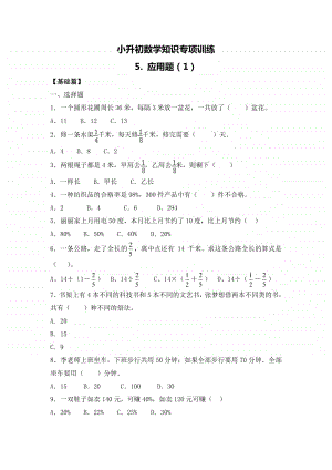 小升初数学知识专项训练一 数与代数-5.应用题（1）.doc