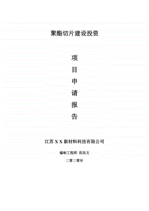 聚酯切片建设项目申请报告-建议书可修改模板.doc