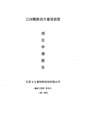 己内酰胺切片建设项目申请报告-建议书可修改模板.doc