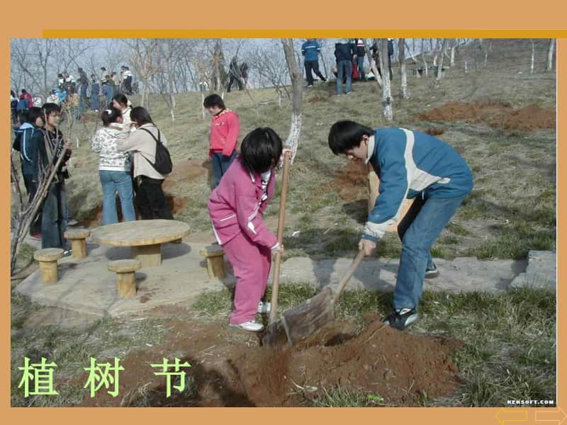 西师大版四年级下册数学2.2.1乘法运算律ppt课件 .ppt_第2页