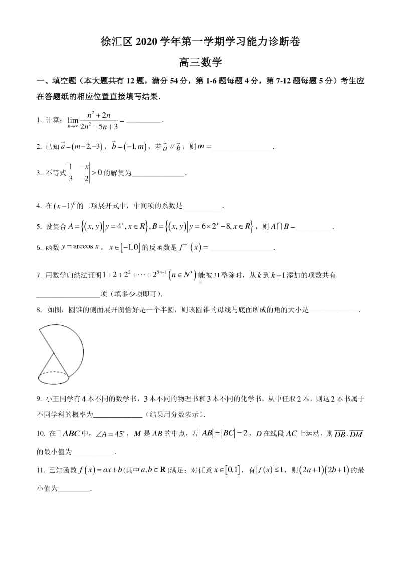 上海市徐汇区2021届高三上学期一模数学试题+答案+全解全析.doc_第1页