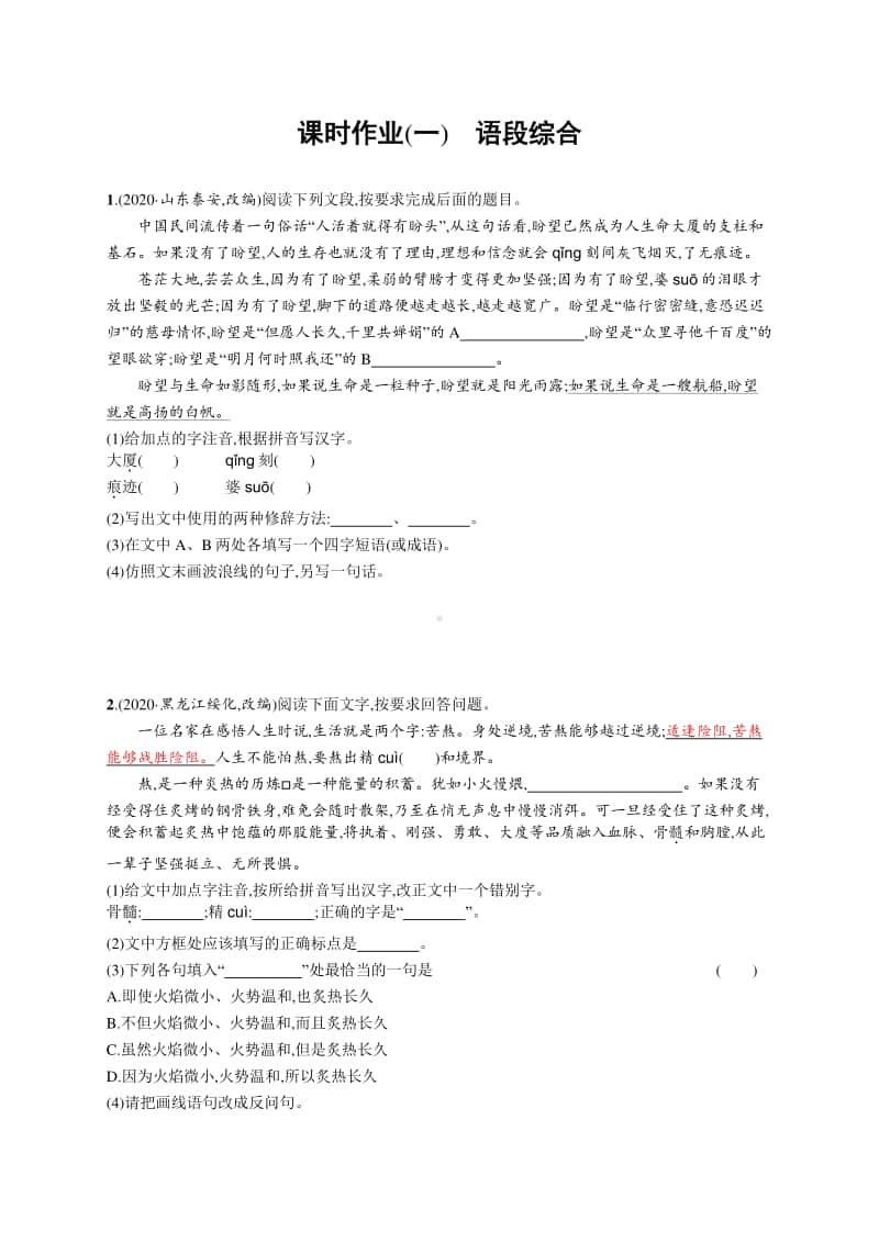 2021中考语文专题练习(一)　语段综合.docx_第1页